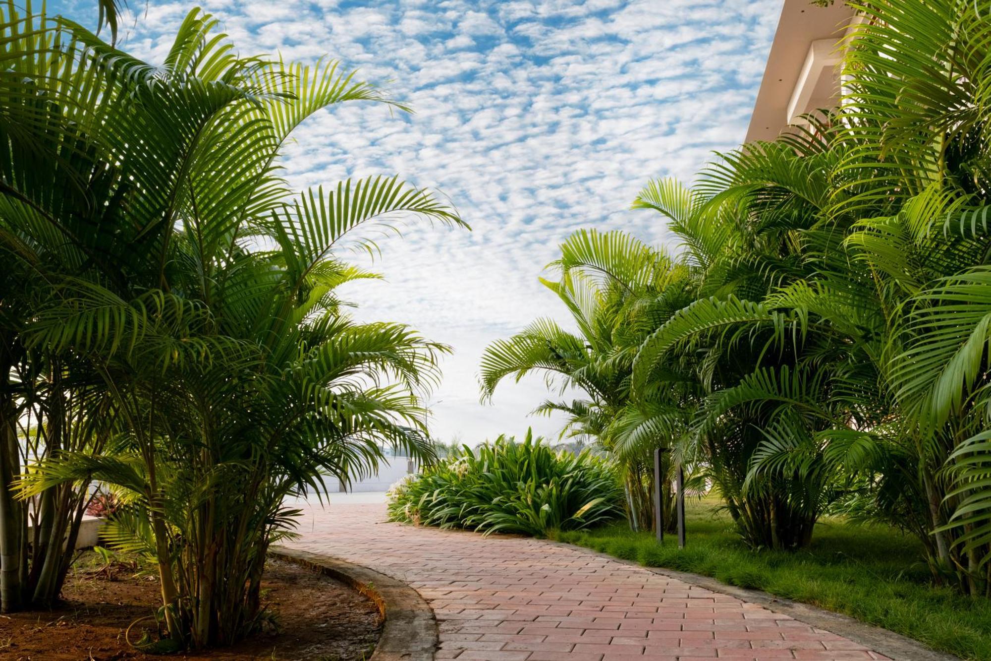 Palm Regal Resort Gopalpur  Exterior photo